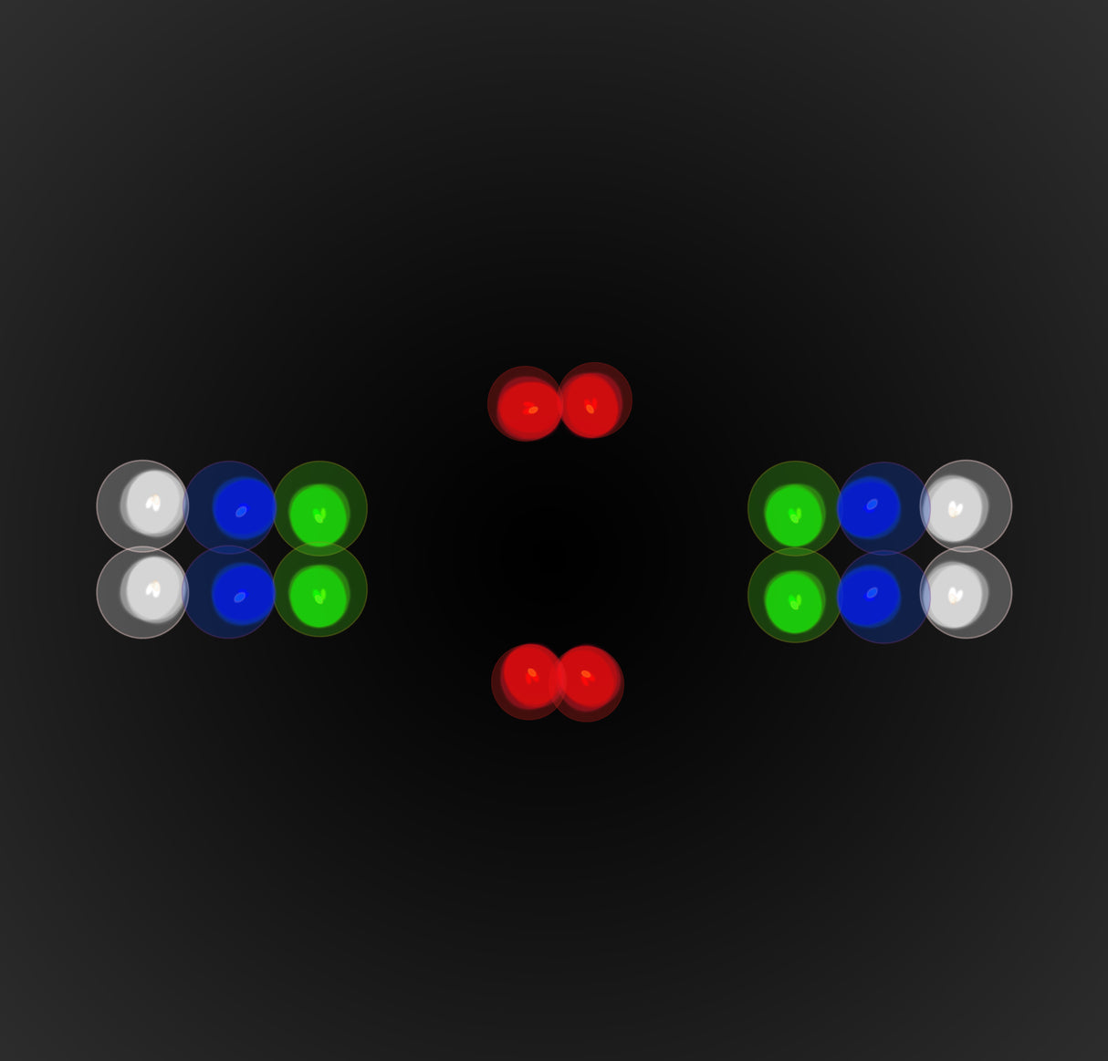 1459241|LE-180