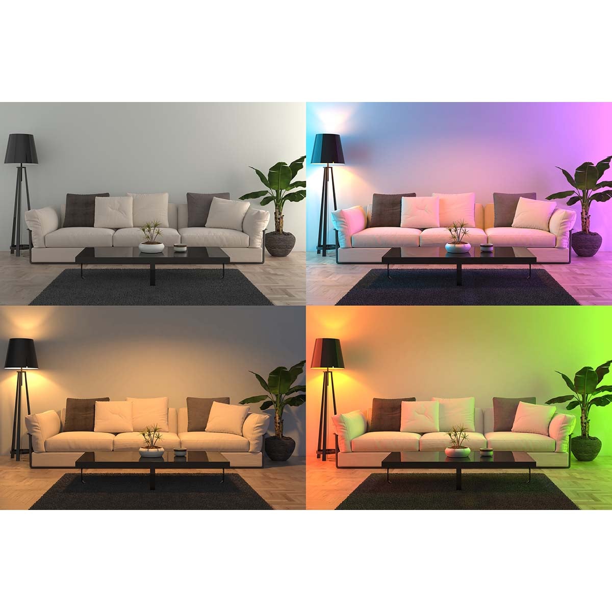 1437576|SMARTBULB10