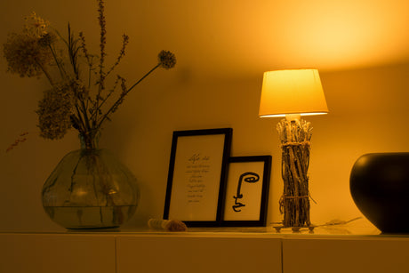 1461284|SMARTLIGHT110