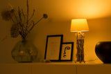 1461289|SMARTLIGHT120